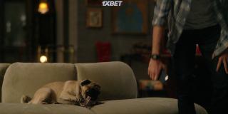 Большой красный пес Клиффорд (2021)