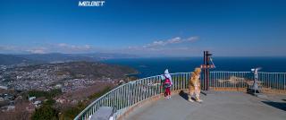 Тора-сан(2019)