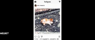 Тора-сан(2019)