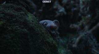     (2021)