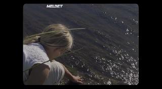 Подношение (2020)