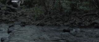 Арисака (2021)