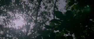 Арисака (2021)