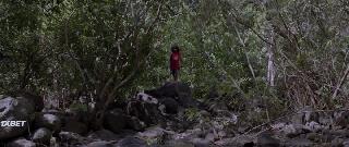 Арисака (2021)