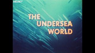 Становление Кусто (2021)