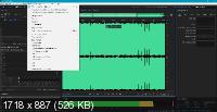 Adobe Audition 2022 22.1.1.23 RePack by KpoJIuK