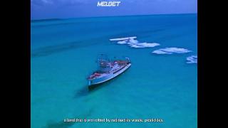 Становление Кусто (2021)