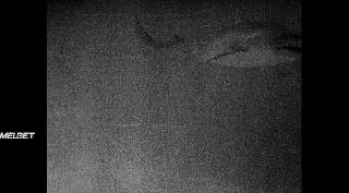 Становление Кусто (2021)