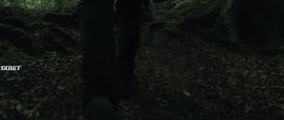  (2019)