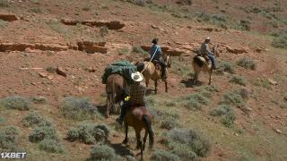 Дикая игра (2021)