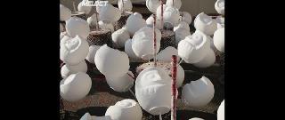 Восточные ведьмы(2021)