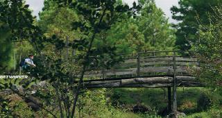 Всё меняется (2019)