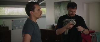 Безумная жизнь (2020)