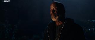   (2021)