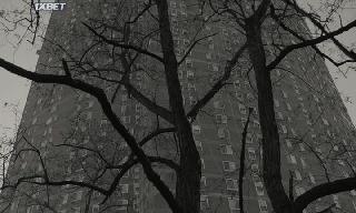 Камон Камон (2021)