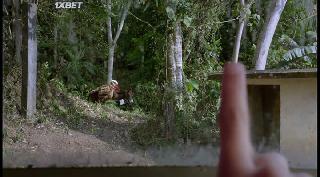 Огненная ночь(2021)