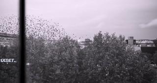 Париж, 13-й округ (2021)