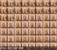 WankitnowVR - Lucy Alexandra - Hard Eviction (UltraHD 4K/2880p/2.88 GB)