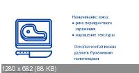 Организация кухни: оборудование, технологии, безопасность (2021/PCRec/Rus)