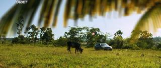 Девушка в желтом джемпере (2020)