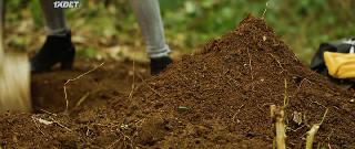 Девушка в желтом джемпере (2020)