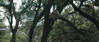 Мегаудав (2021)