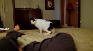   (2021)