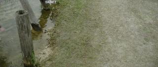 Военный пирог (2021)