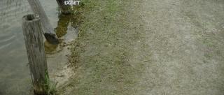 Военный пирог (2021)