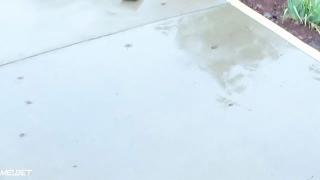 Депривация сна (2019)