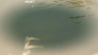 Моя история(2019)