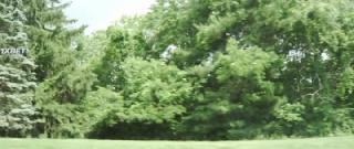 Энтропия (2022)