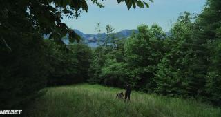 Воины выходного дня (2021)