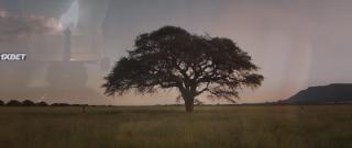 Амандла (2022)