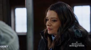 Домой на север (2022)