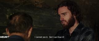     (2019)