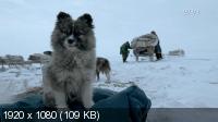 По тонкому льду / Rentiere auf dünnem Eis (2020) HDTVRip 1080p