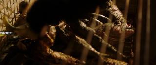 Имманентность (2022)