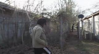  (2021)