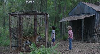   (2022)