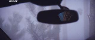 Поездка (2019)