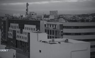 Черная медуза(2021)