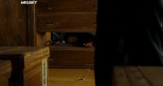 Говорящие картинки (2019)