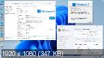 Windows 11 Professional VL x64 21H2 by OVGorskiy v.02.2022 (RUS)