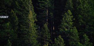 Тед К  («Унабомбер») (2021)