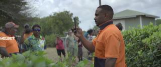 Алик и Альбер (2021)