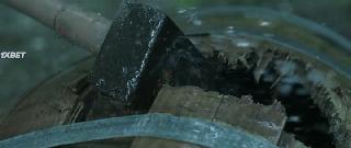 Беоволчица (2022)