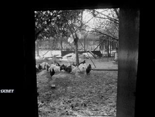 Заглавными буквами(2020)