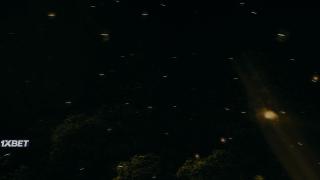 После Янга(2021)