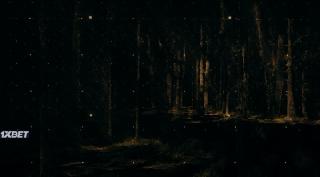 После Янга(2021)